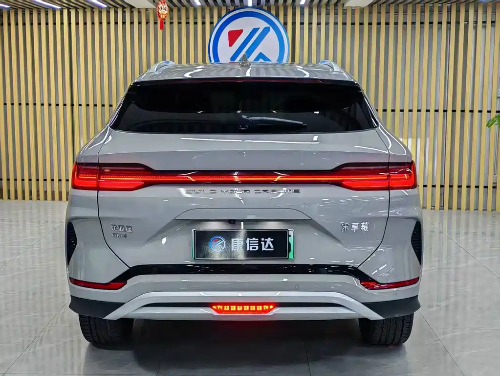BYD PLUS New Energy — миниатюра 8