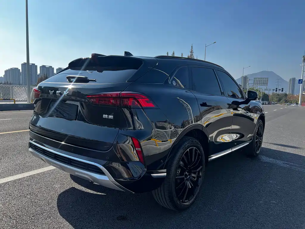 WEI PAI WEI BRAND MOCHA