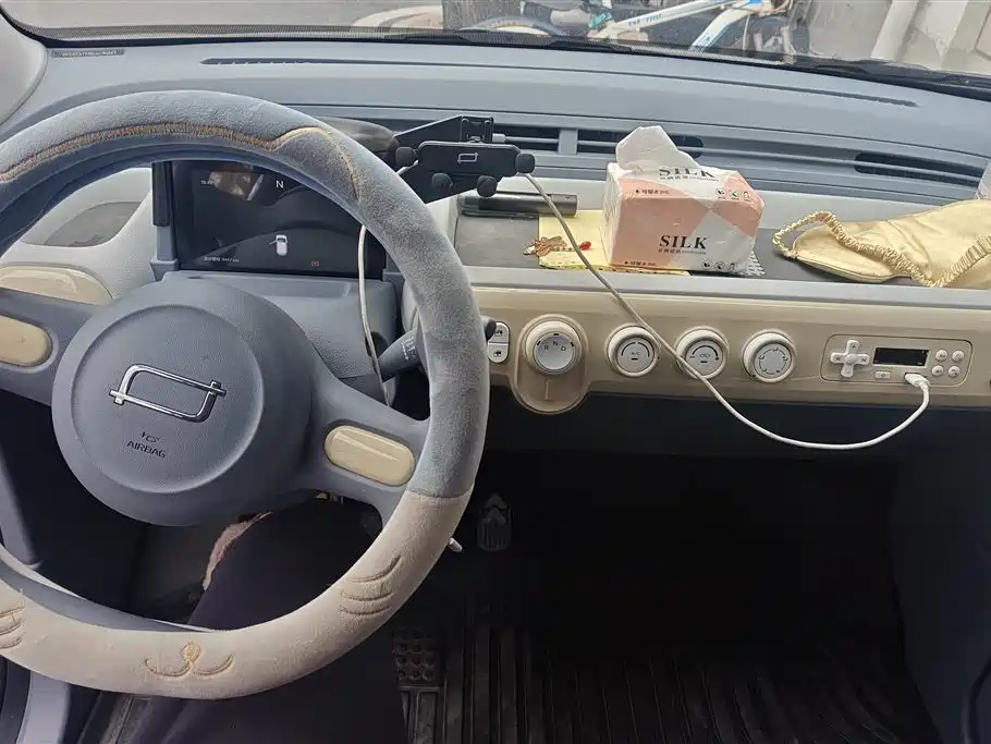 BESTUNE PENTIUM PONY