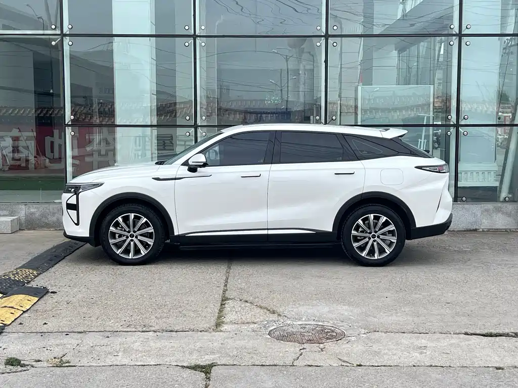Exeed Yaoguang C-DM — миниатюра 8