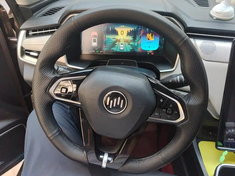 WM Motor EX5 — миниатюра 15