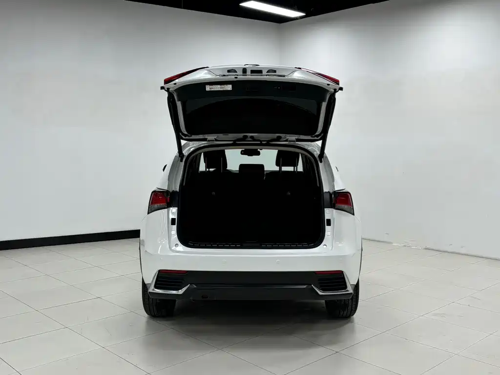 Lexus NX — миниатюра 7