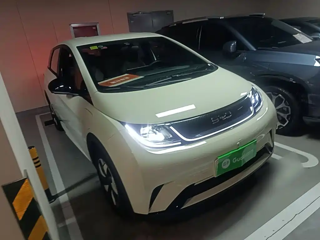 BYD Dolphin — миниатюра 4