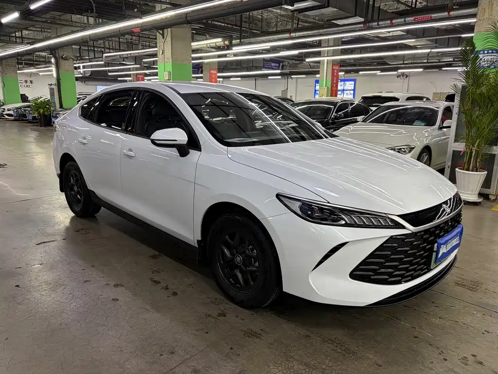 BYD Qin Plus — фотографии объявления, Фото 2