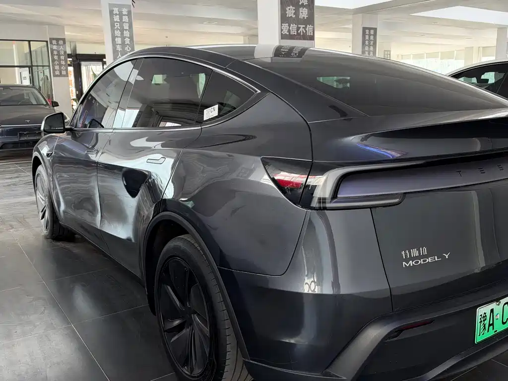 Tesla Model Y — миниатюра 9
