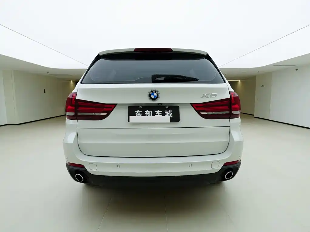 BMW X5 (Import) — миниатюра 5