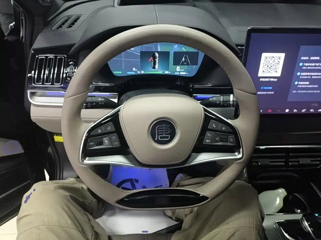 BYD Tang New Energy — миниатюра 11