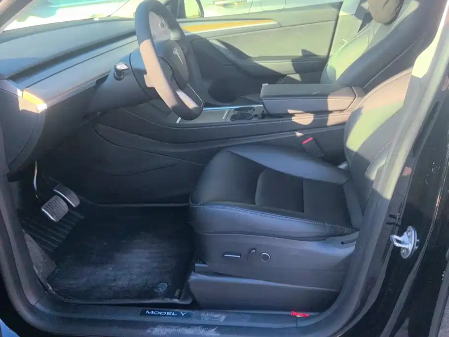 Tesla Model Y — миниатюра 9