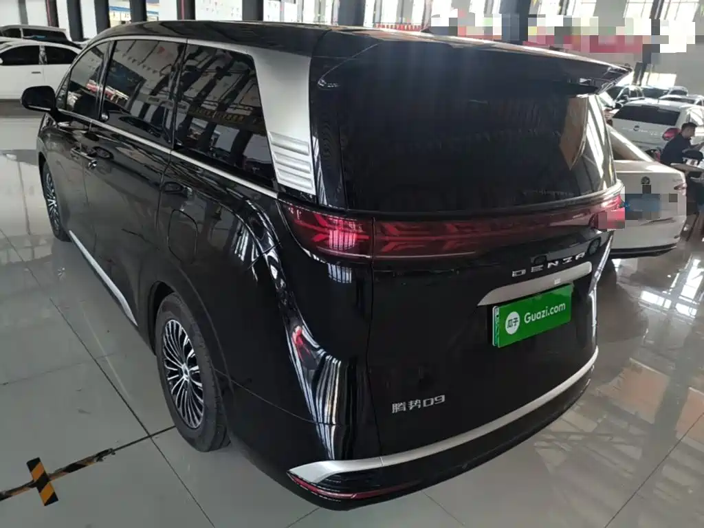Denza Denza D9 — миниатюра 5