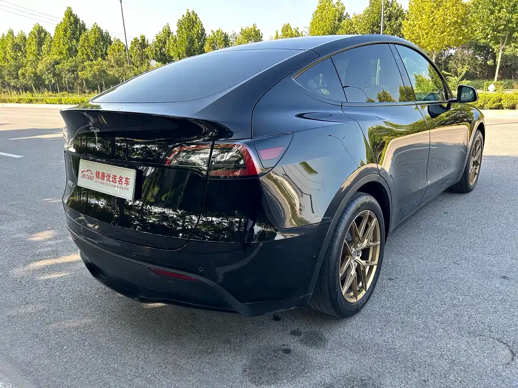 Tesla Model Y — миниатюра 14