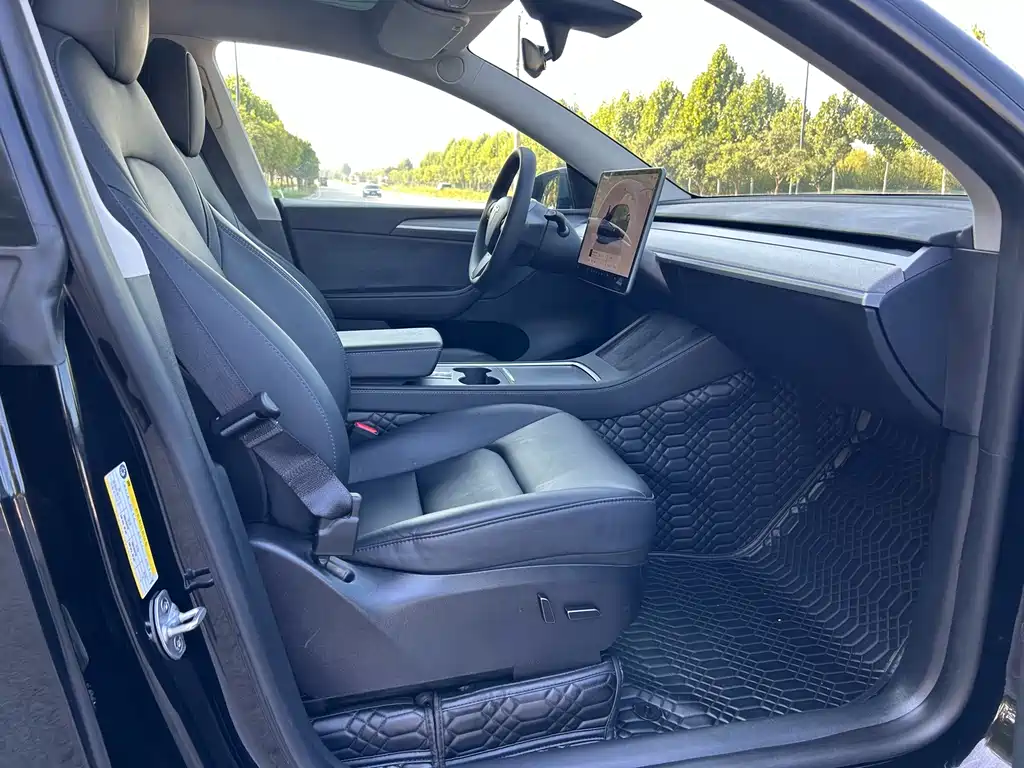 Tesla Model Y — миниатюра 9
