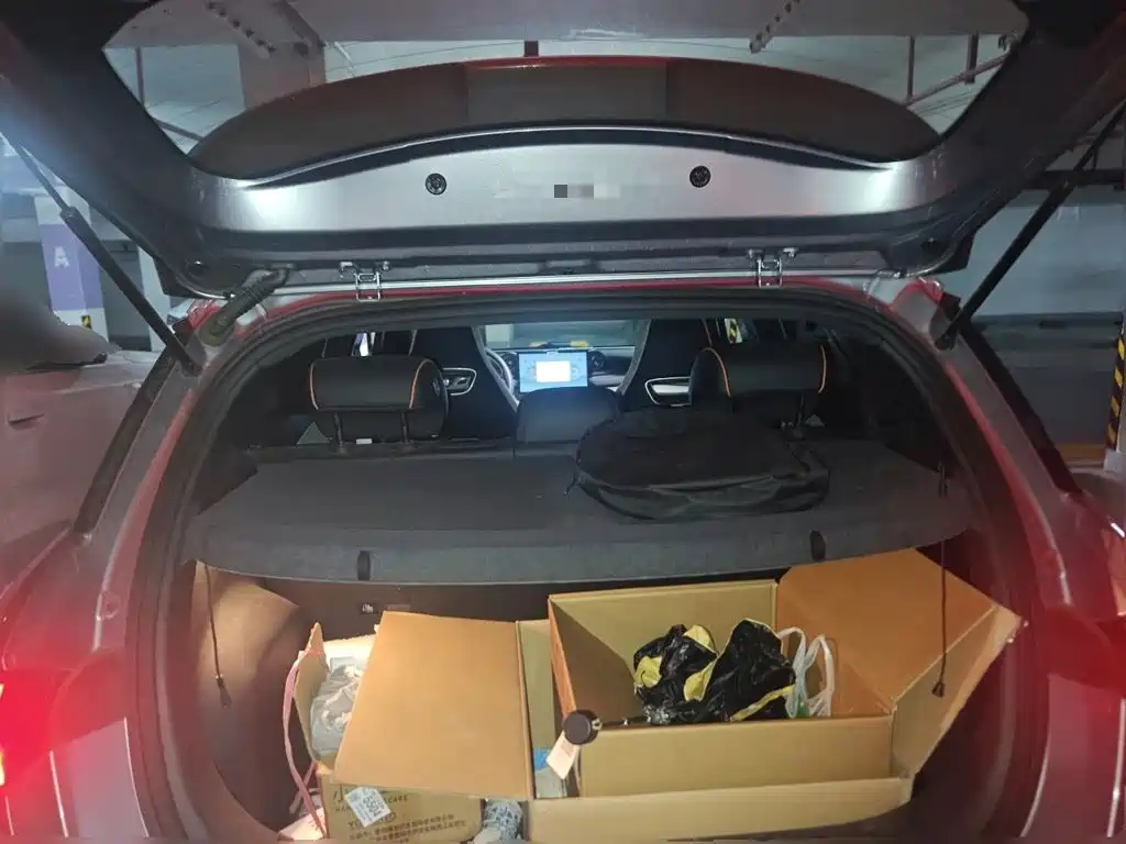BYD Dolphin — миниатюра 15