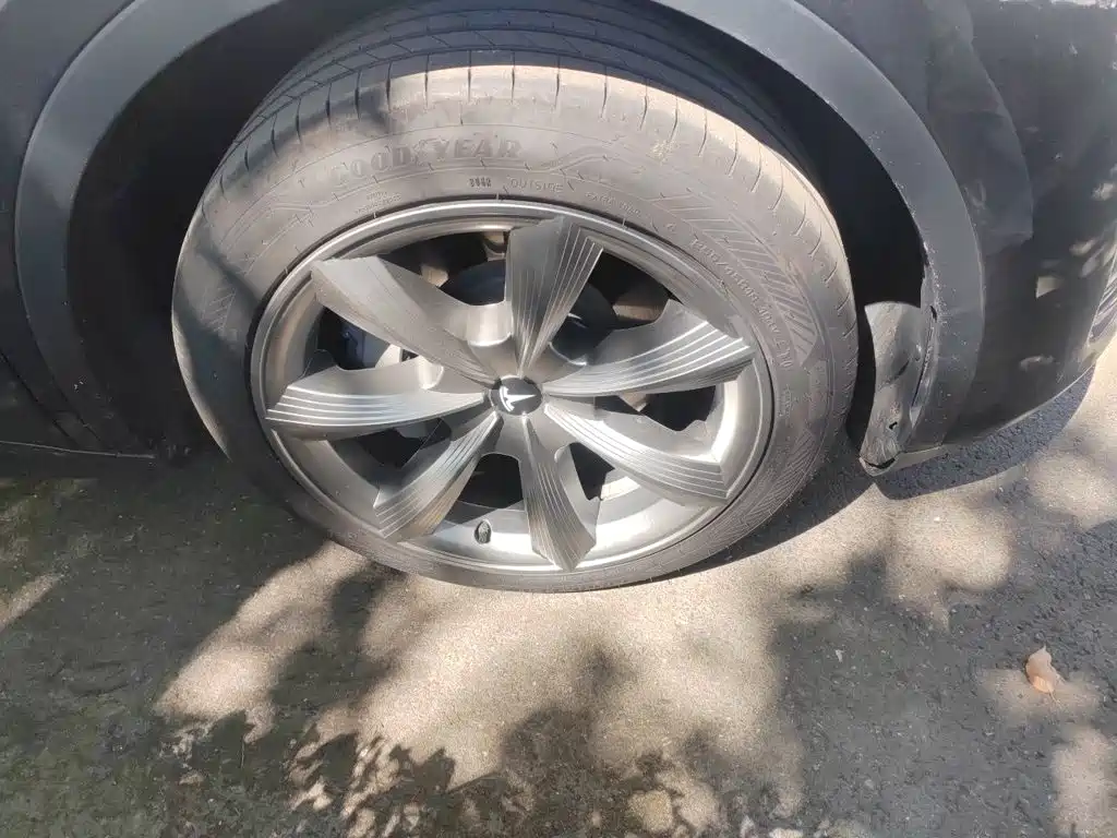 Tesla Model Y — миниатюра 25