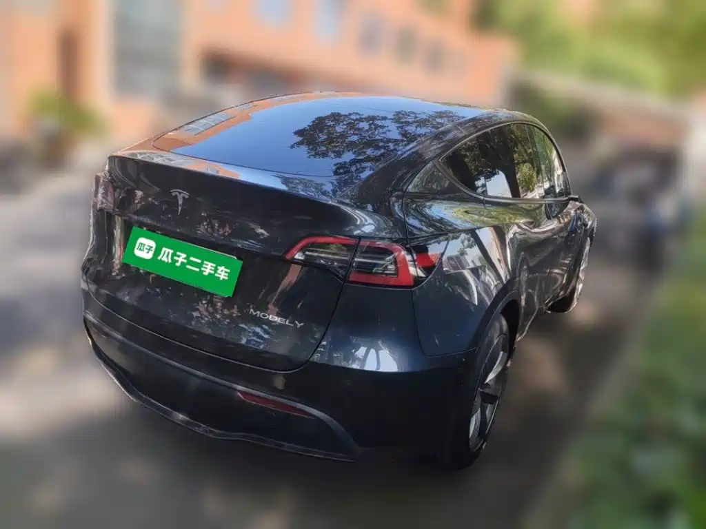 Tesla Model Y — миниатюра 4