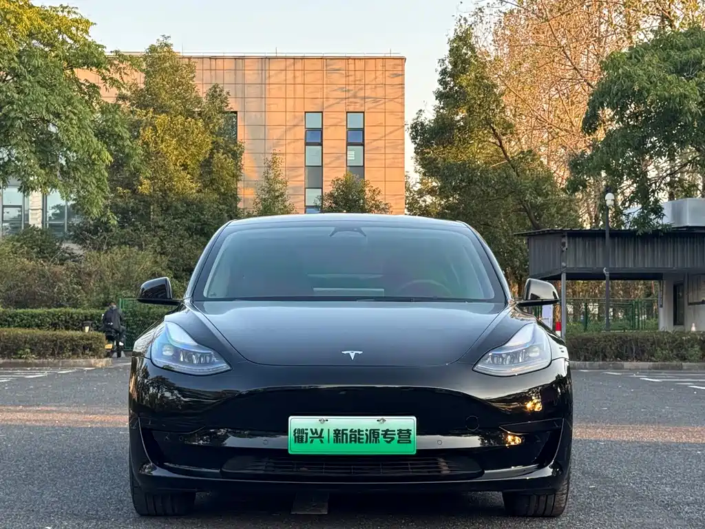 Tesla Model 3 — миниатюра 2