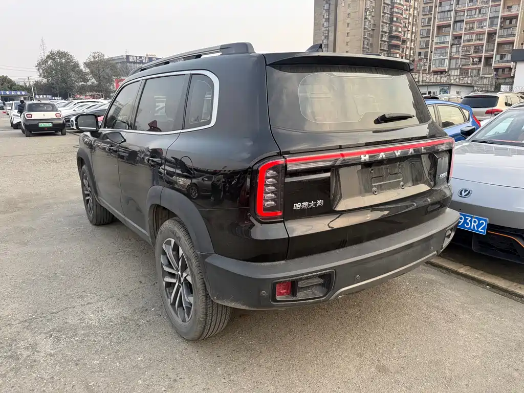 HAVAL BIG DOG