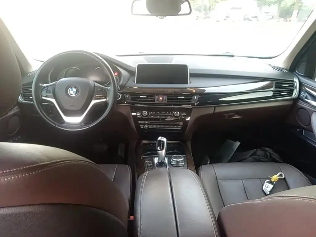 BMW X5 (Import) — миниатюра 10