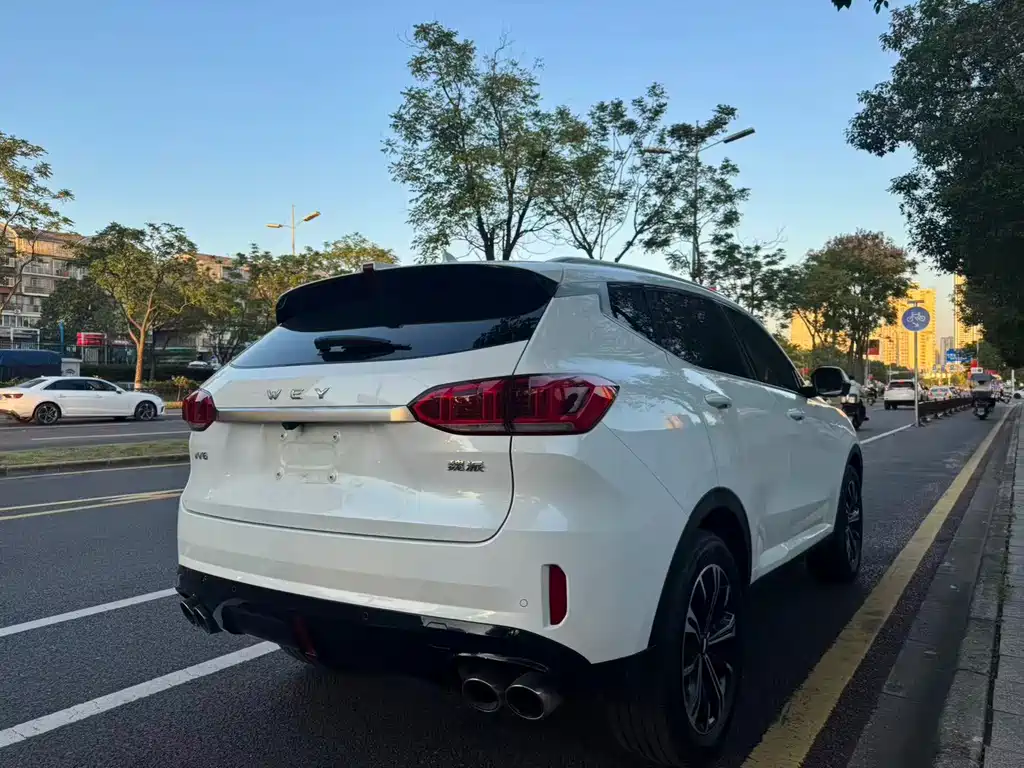 Wey Wey VV6 — миниатюра 5