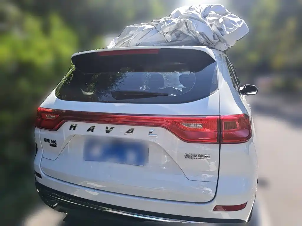 Haval M6 — миниатюра 3