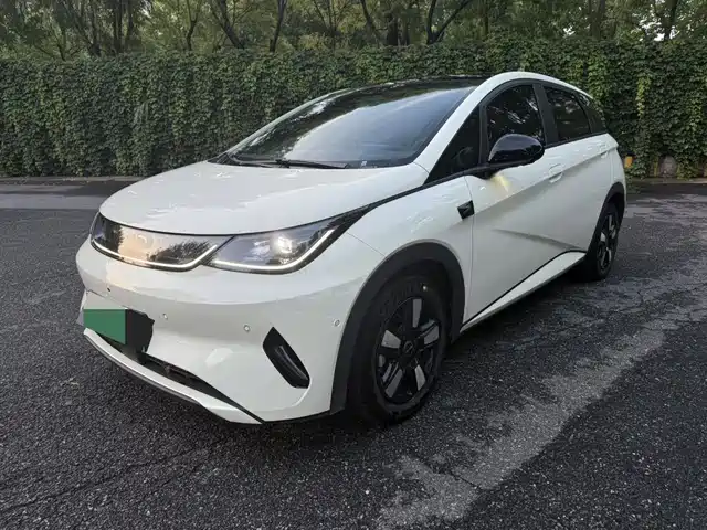 2025 BYD Dolphin