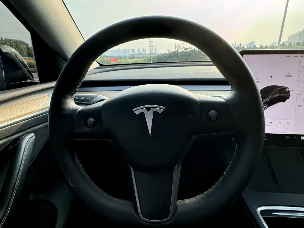 Tesla Model Y — миниатюра 9