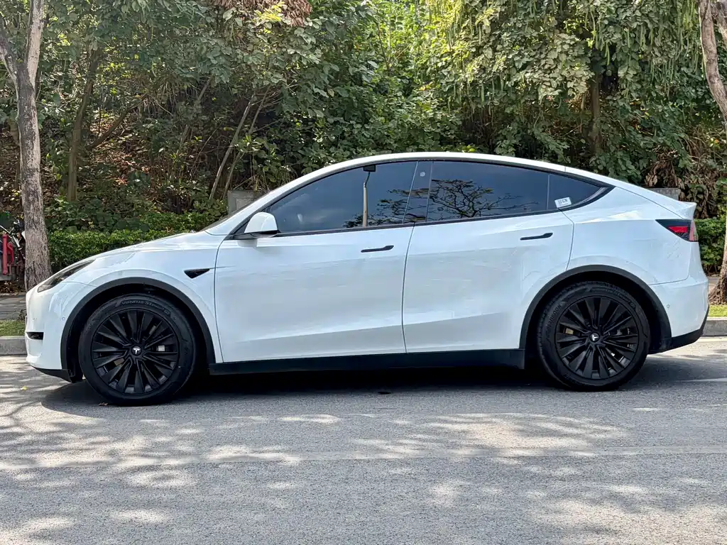 Tesla Model Y — миниатюра 3