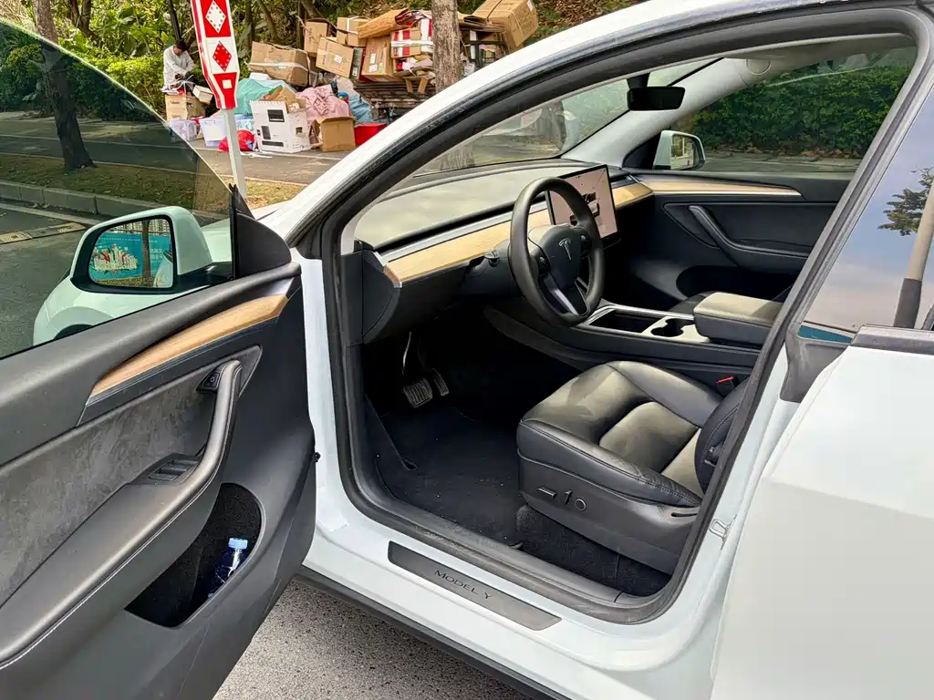 Tesla Model Y — миниатюра 6