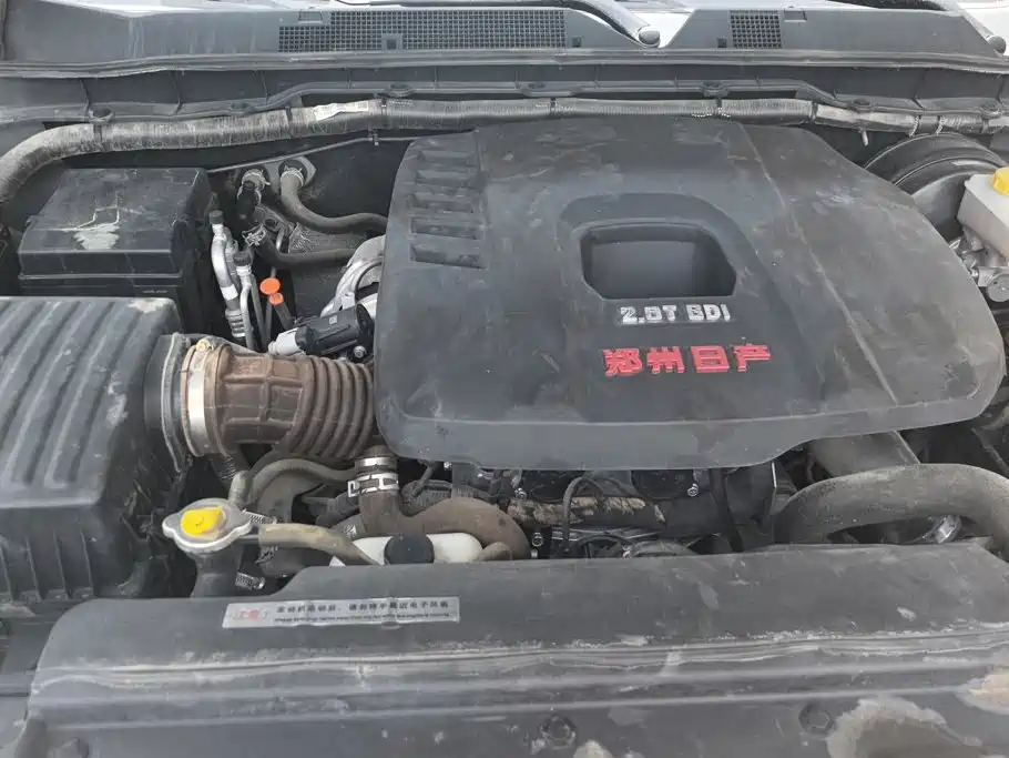 Dongfeng Rich 7 — миниатюра 10
