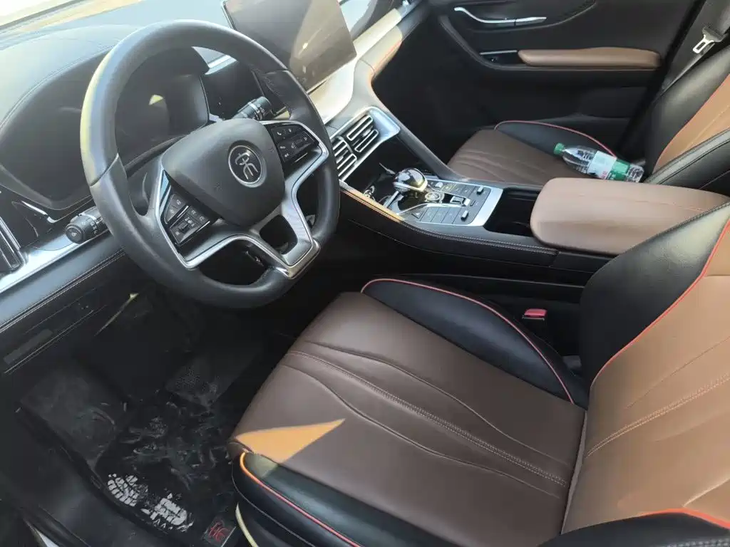 BYD PLUS — миниатюра 11