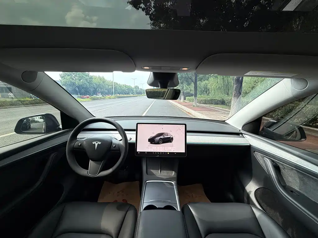 Tesla Model Y — миниатюра 15