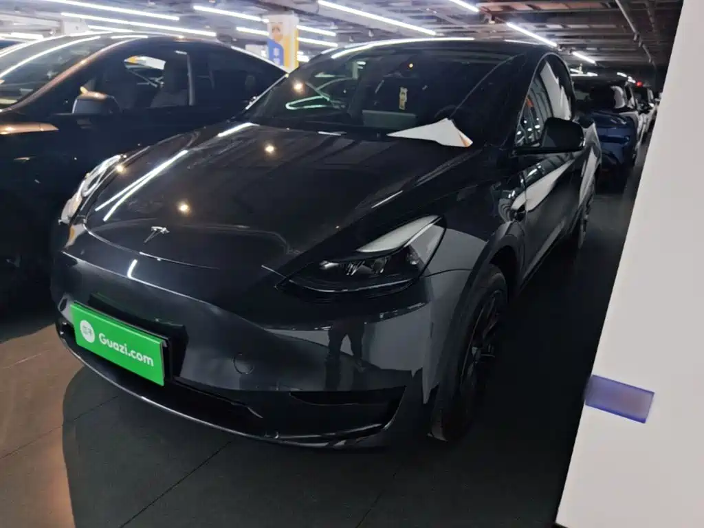 Tesla Model Y — миниатюра 2