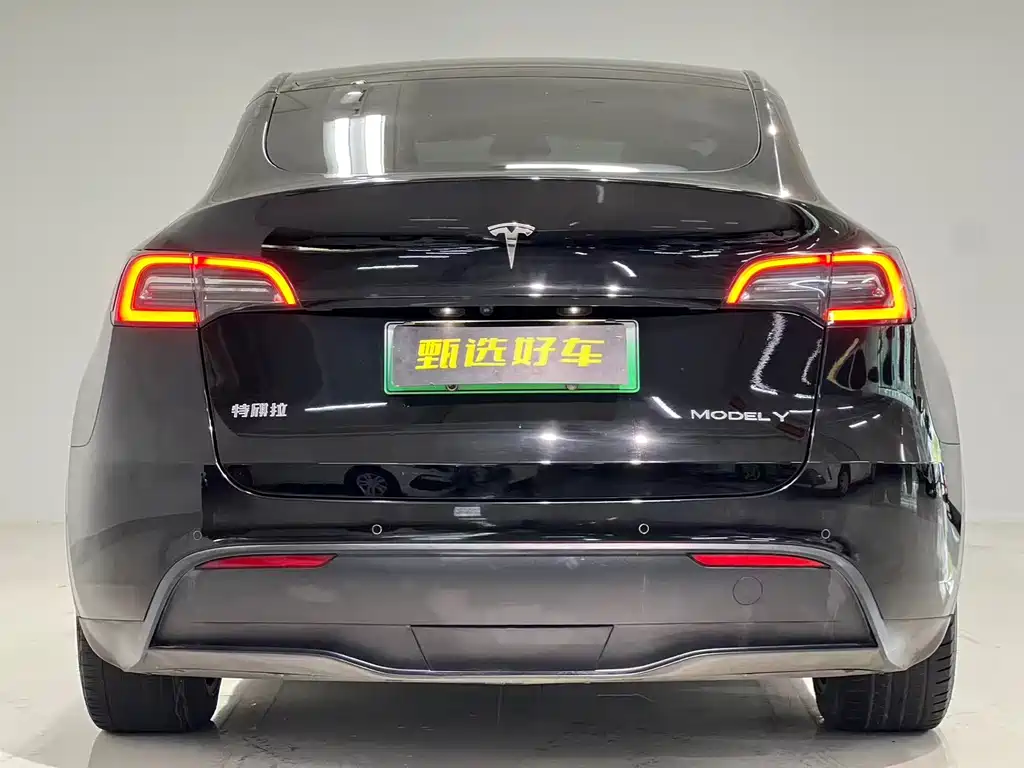 Tesla Model Y — миниатюра 9