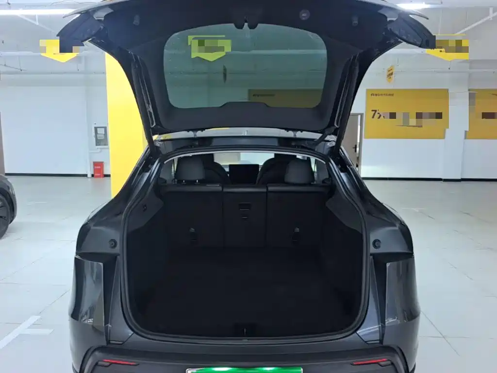 Tesla Model Y — миниатюра 19