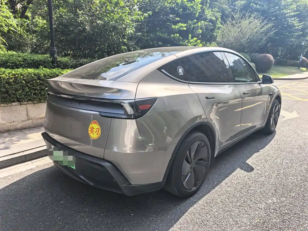 Tesla Model Y — миниатюра 5