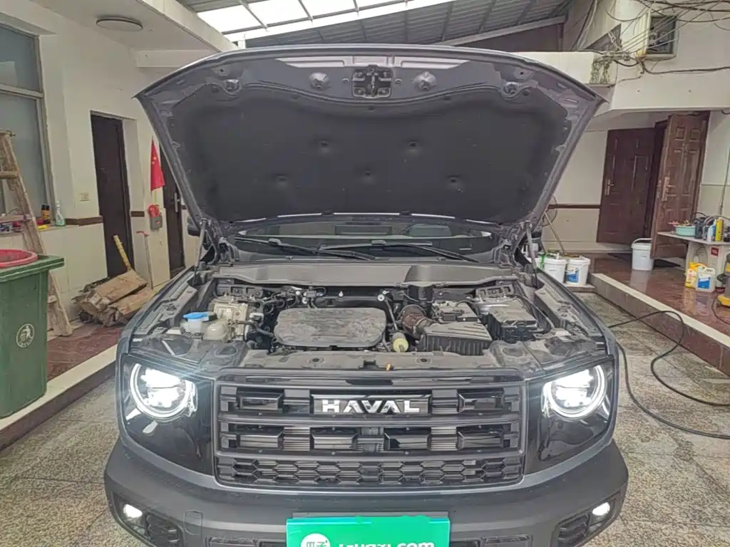 Haval Big Dog — миниатюра 20