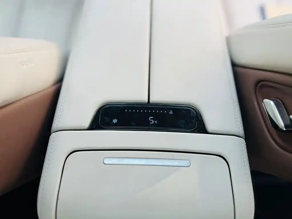 BYD Xia - фото 11