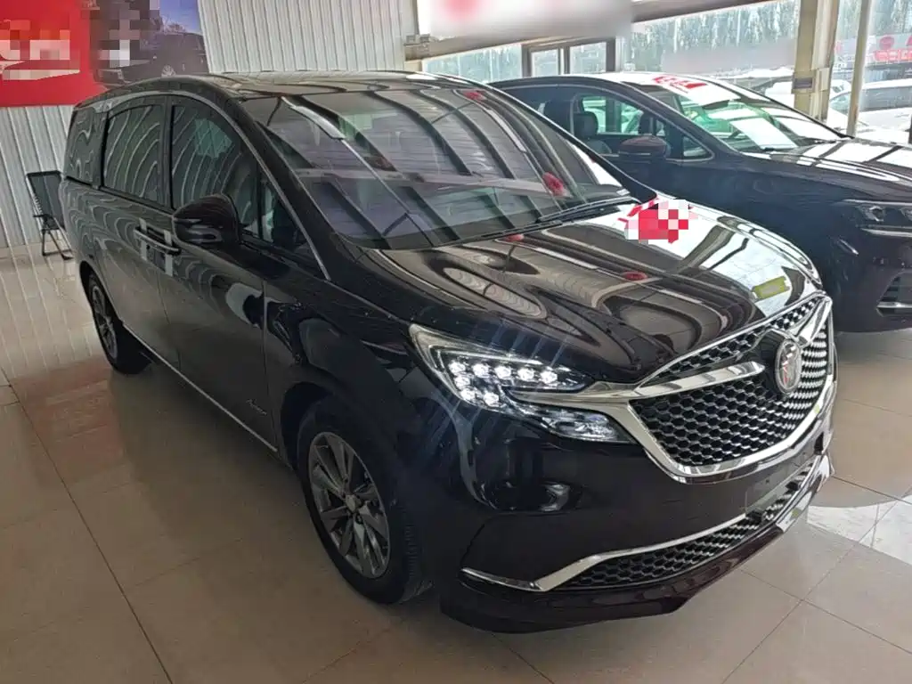 Buick GL8 — миниатюра 4