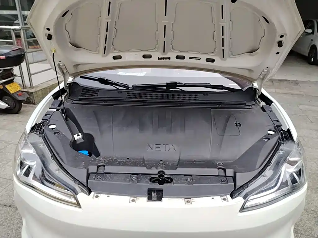 Neta Neta V — миниатюра 20