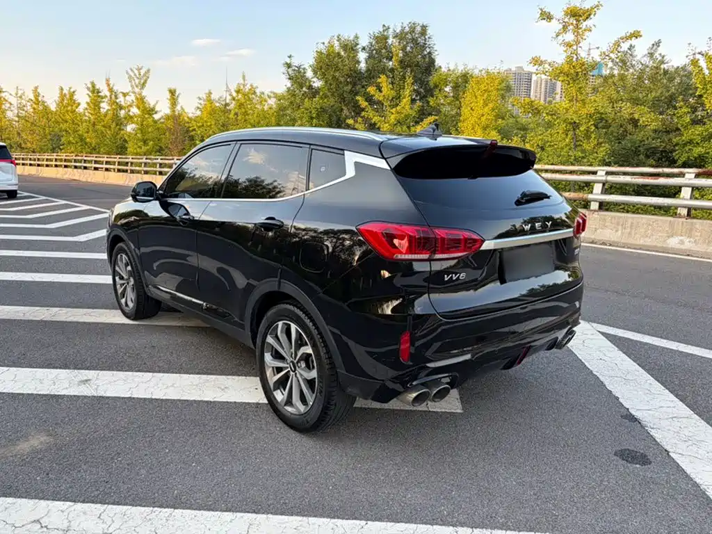 Wey Wey VV6 — миниатюра 6