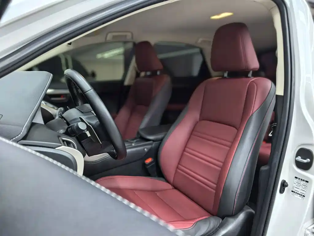 Lexus NX — миниатюра 32