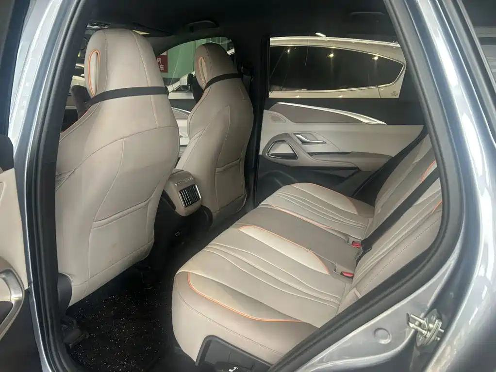 BYD Pro New Energy — миниатюра 4