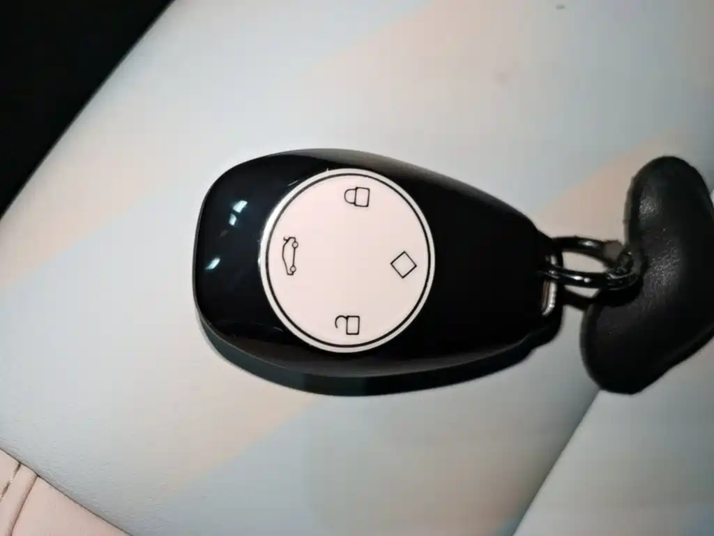 Leapmotor T03 2024 310