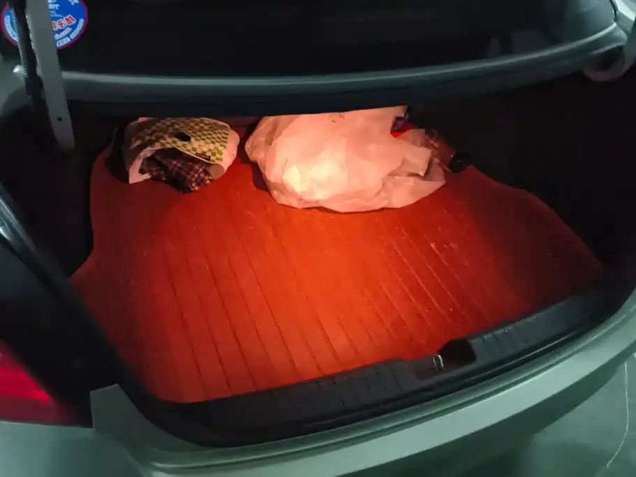 Hyundai Mistra — миниатюра 4