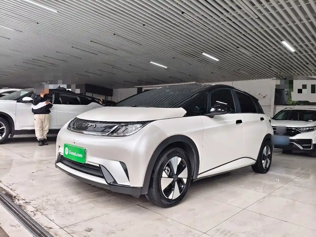 BYD Dolphin