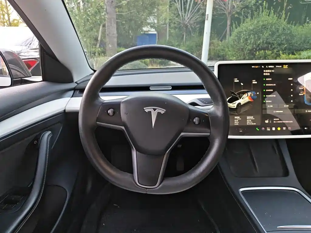 Tesla Model 3 — миниатюра 6