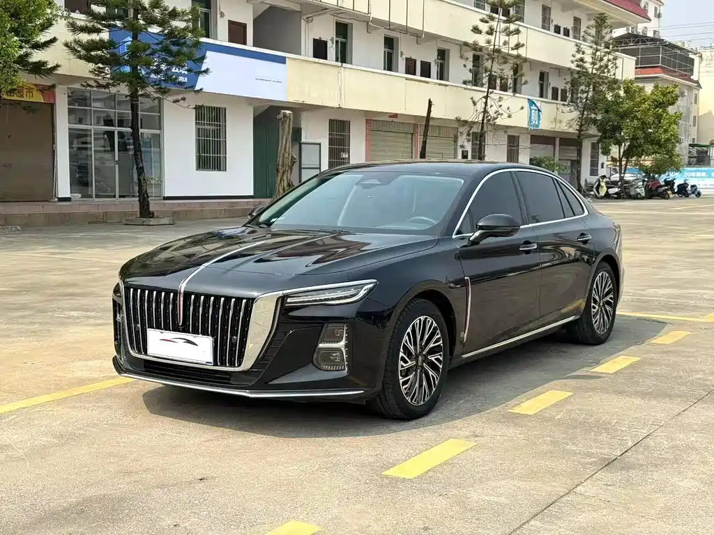 Hongqi Hongqi H5 2024