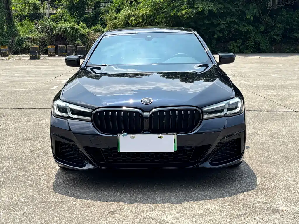 BMW 5 Series New Energy — миниатюра 2