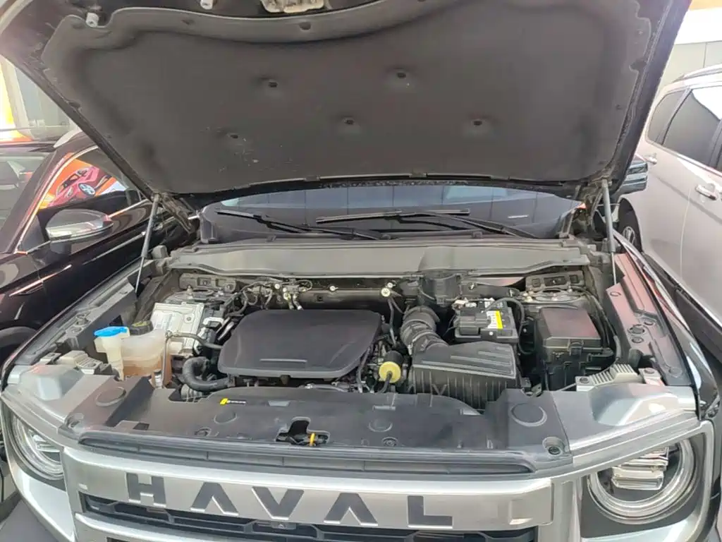 Haval Big Dog — миниатюра 20