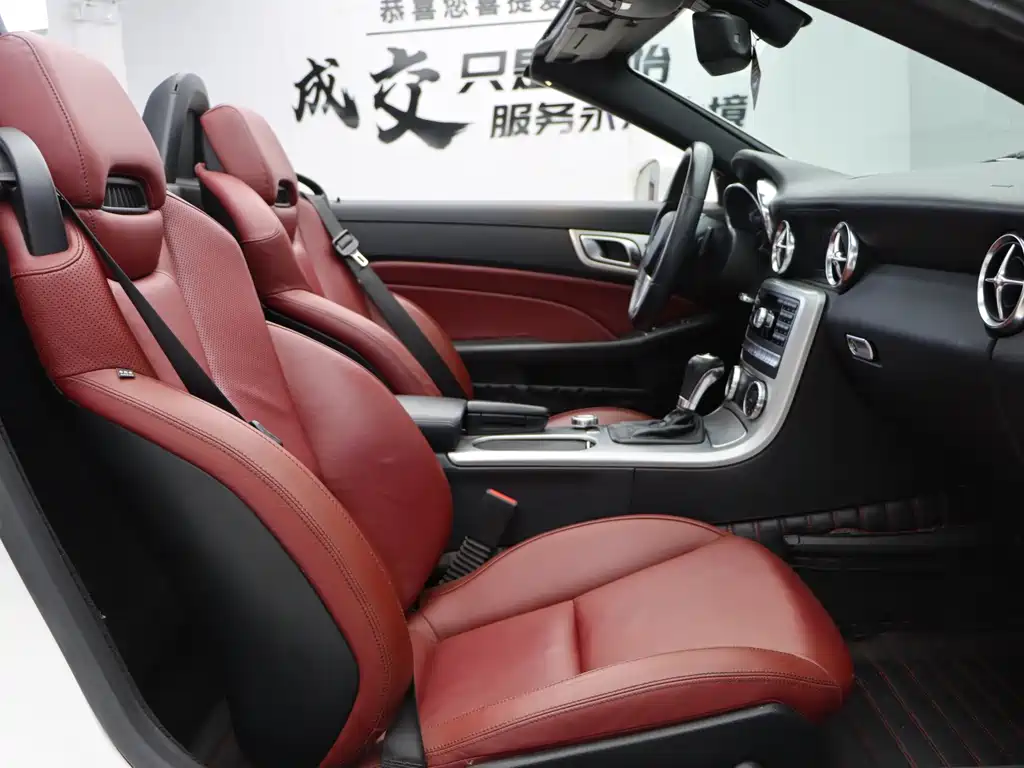 Mercedes-Benz SLK-Class — миниатюра 22