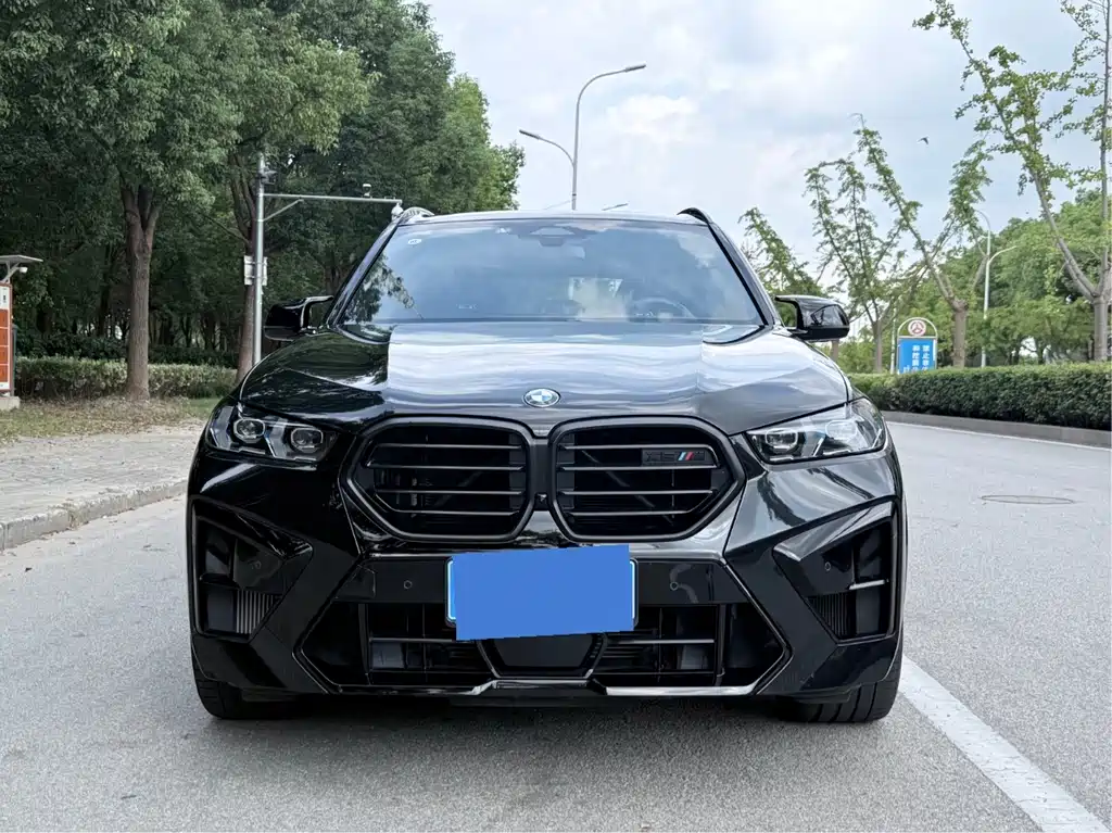 BMW X5 M — миниатюра 2